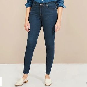 Everlane The Authentic Stretch Mid-Rise Skinny 28T